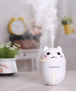 Cute humidifier which looks like cat