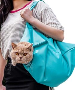 Green Cat Pouch Pet Carrier