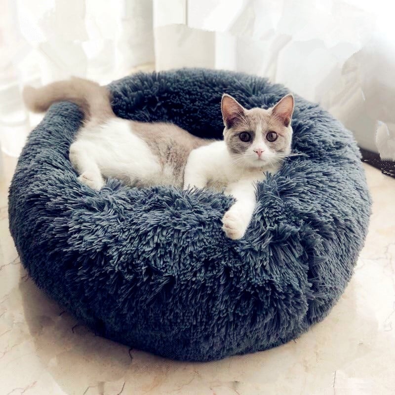 Fluffy Cat Bed New Arrival Catastic