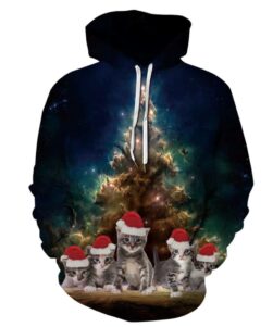 Cute Kittens Christmas Hoodie