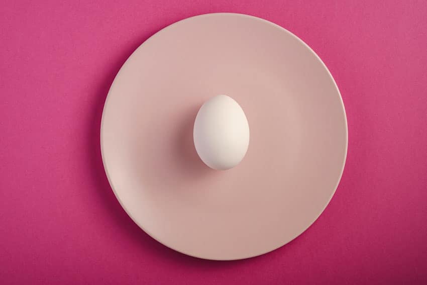 cat-raw-eggs
