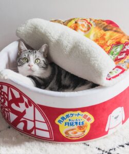 Ramen-Cat-Bed