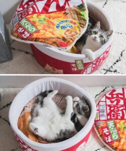 Ramen-Cat-Bed-Red