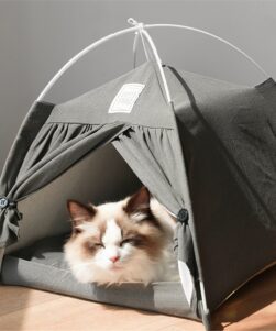 cat-tent-bed-indoor