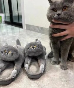funny-cat-slippers