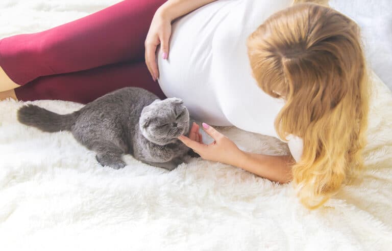 can cats tell if you're pregrnant