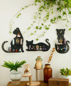 cat crystal shelf