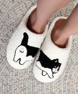 cat slippers