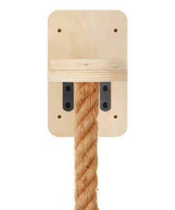 Cat climbing rope close shot
