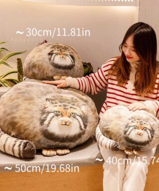 cat plush toy cute soft