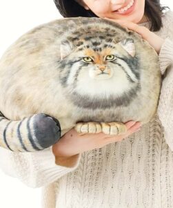 kawaii cat plush toy cute soft