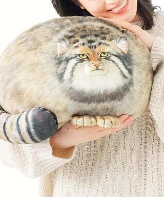 kawaii cat plush toy cute soft
