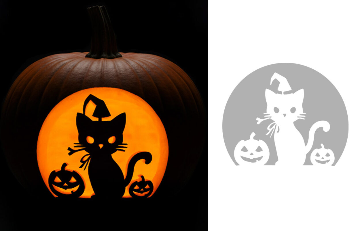 pumpkin lantern with cat