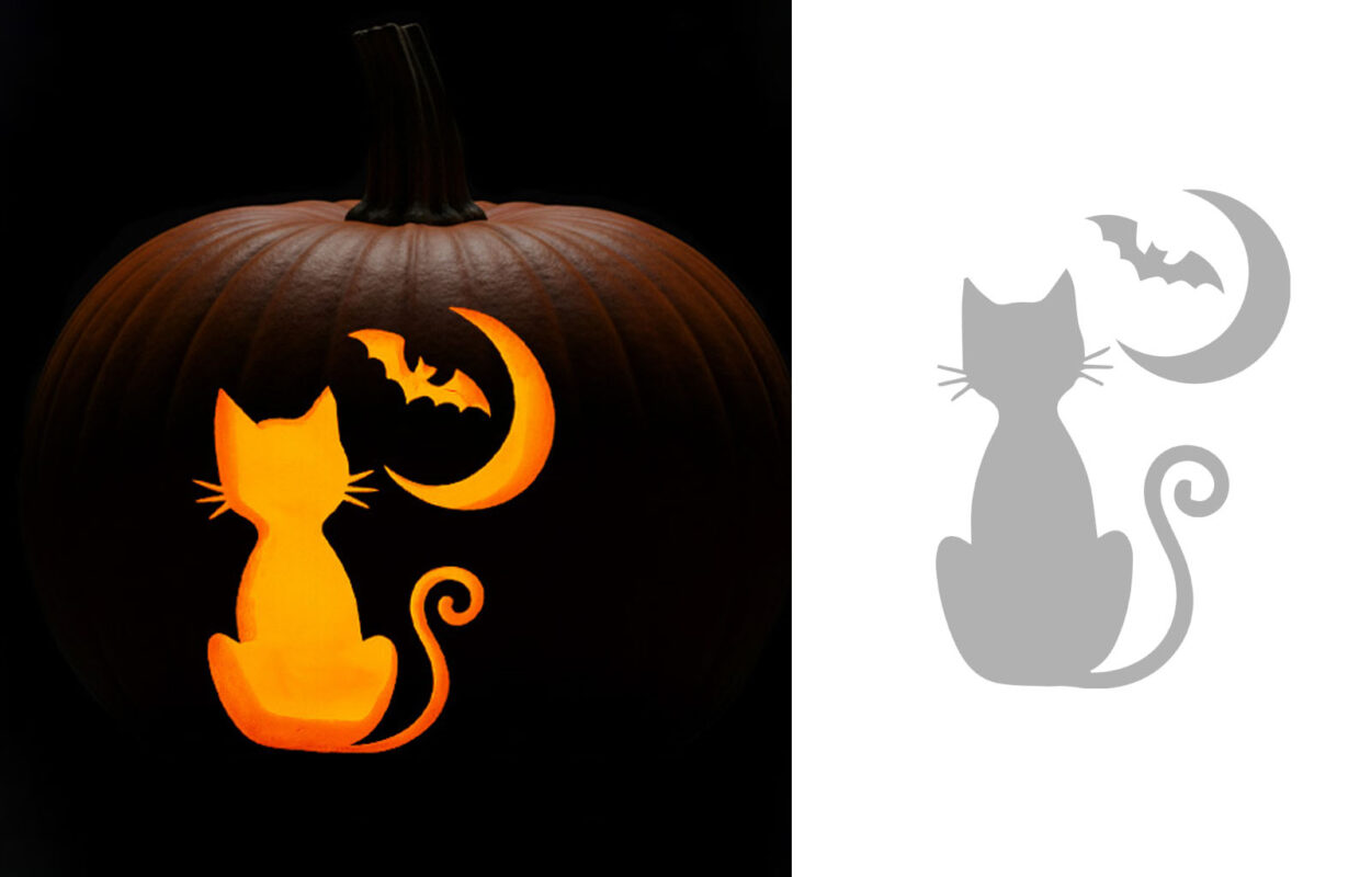 cat-o-lantern cute cat