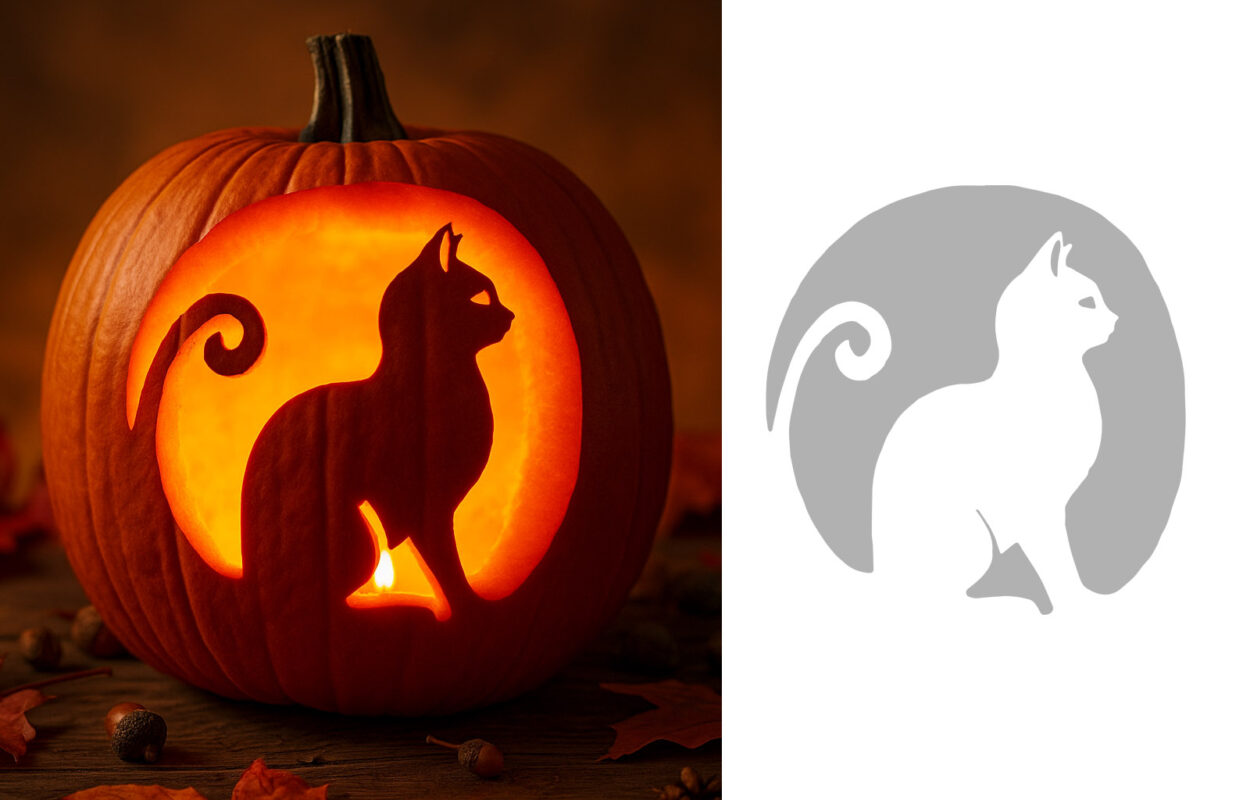 elegan cat-o-lantern