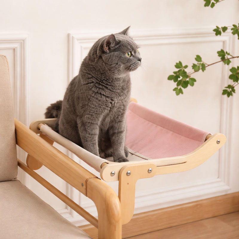 Cat products and accessories